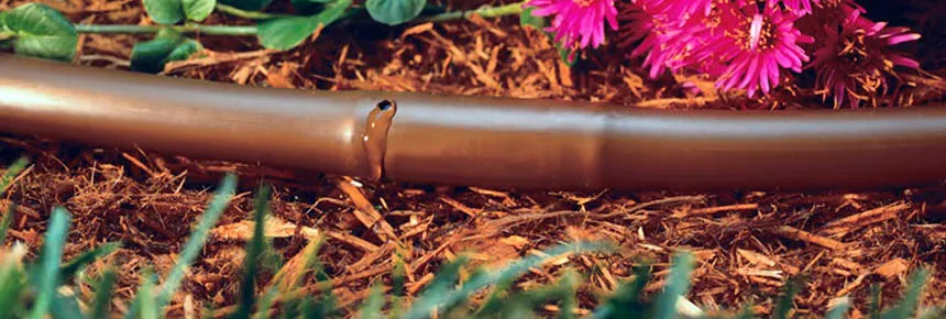 Капельный полив в теплицу и из чего он состоит