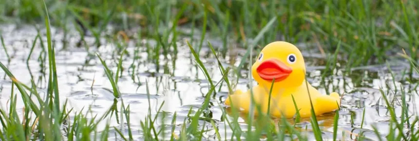 Признаки сбоев автополива