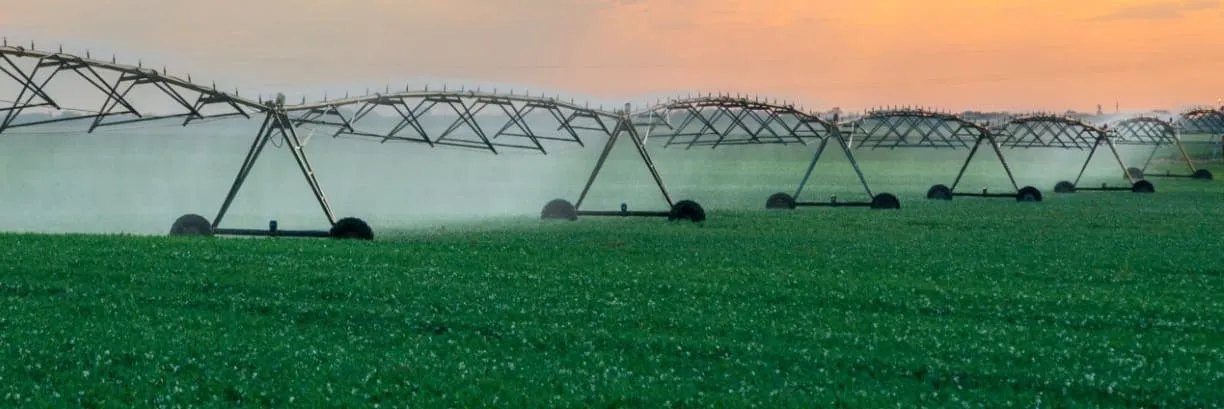 Почему избыток воды в почве отрицательно влияет на растения