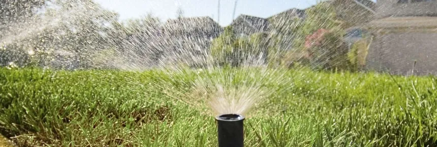 Плюсы автоматических систем полива