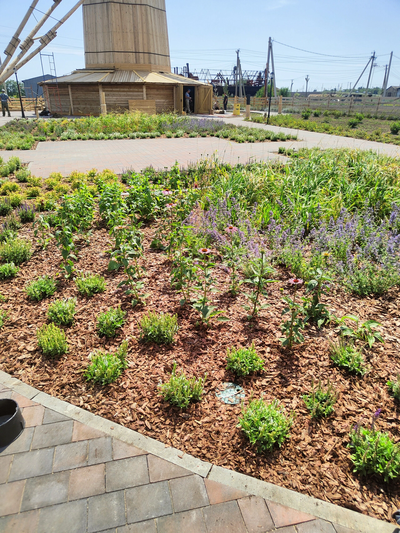 Село Бариновка