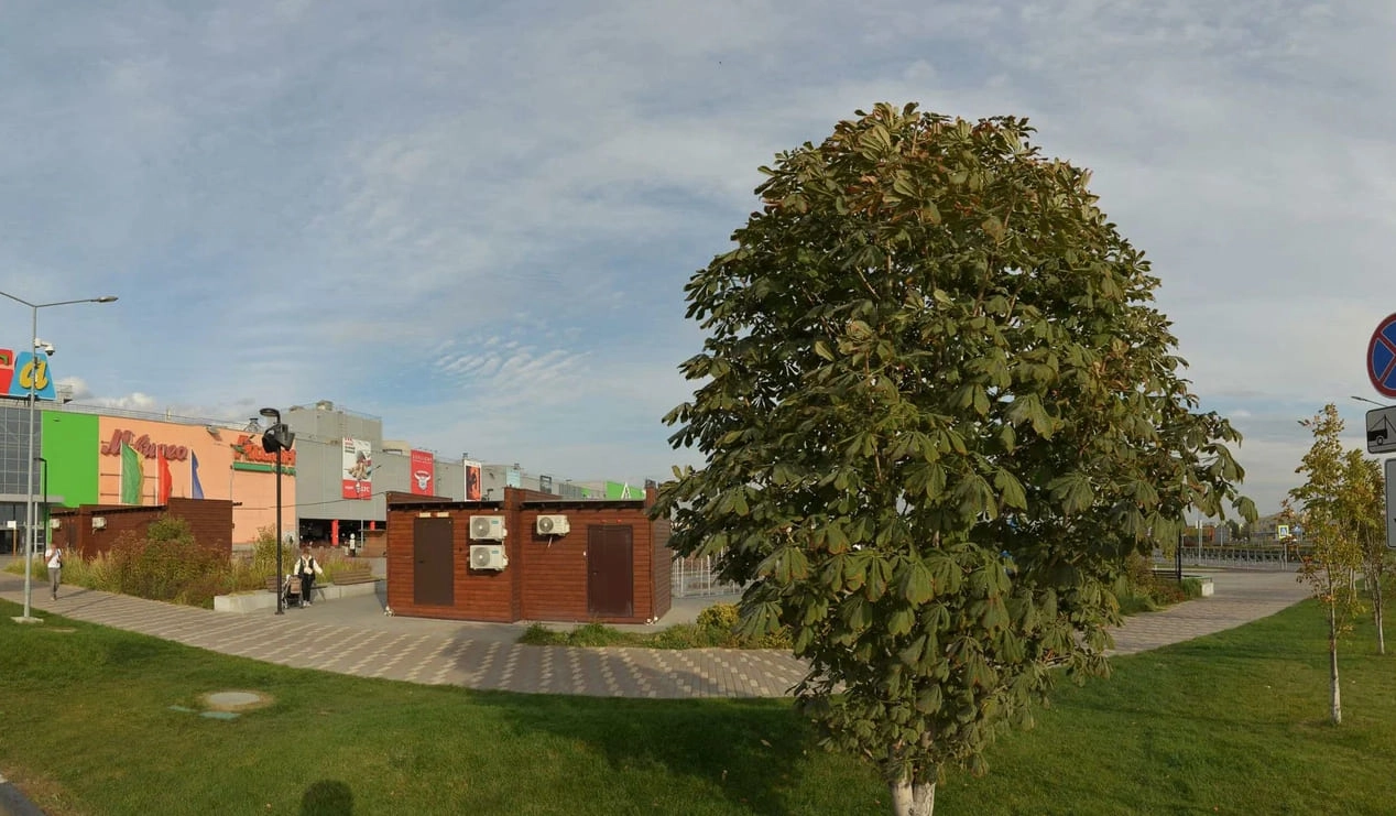 ТЦ Мега Самара