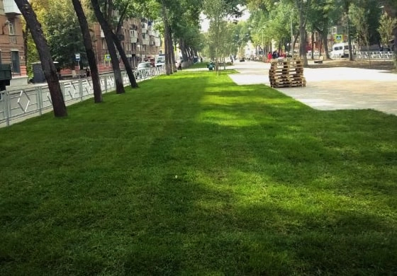 Газон и полив бульвар Металлургов