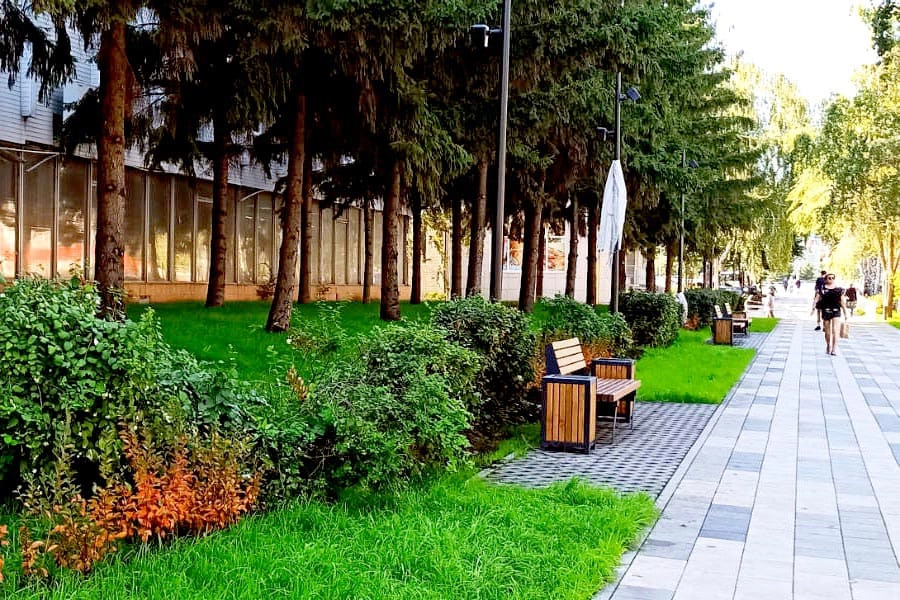 Газон и полив сквер Мичурина Самара