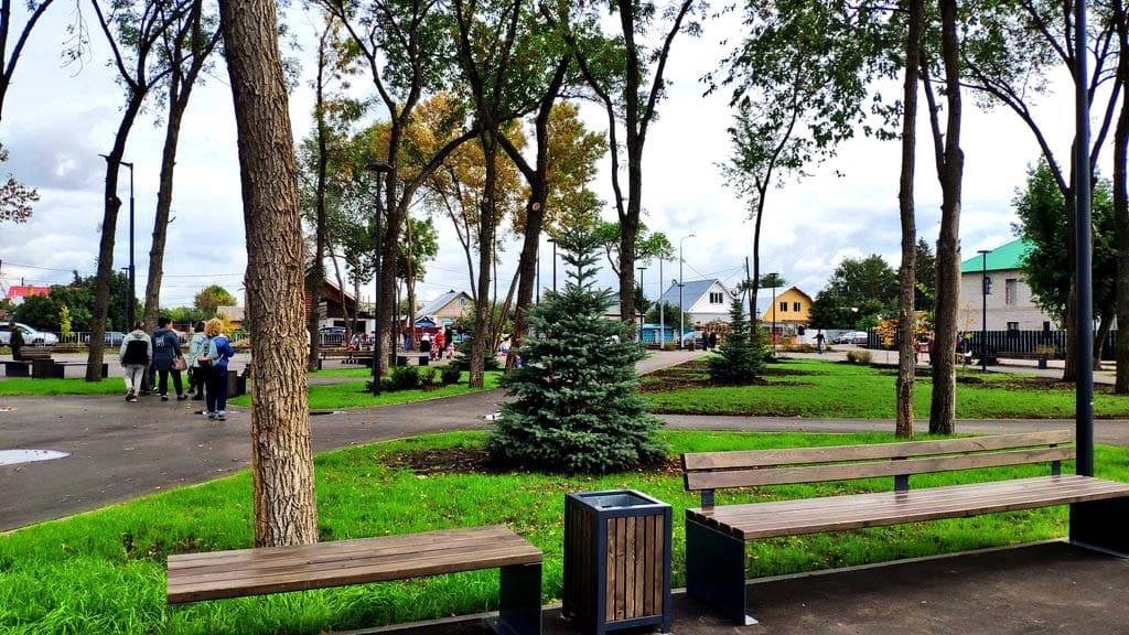 Газон и полив сквер Невского Самара