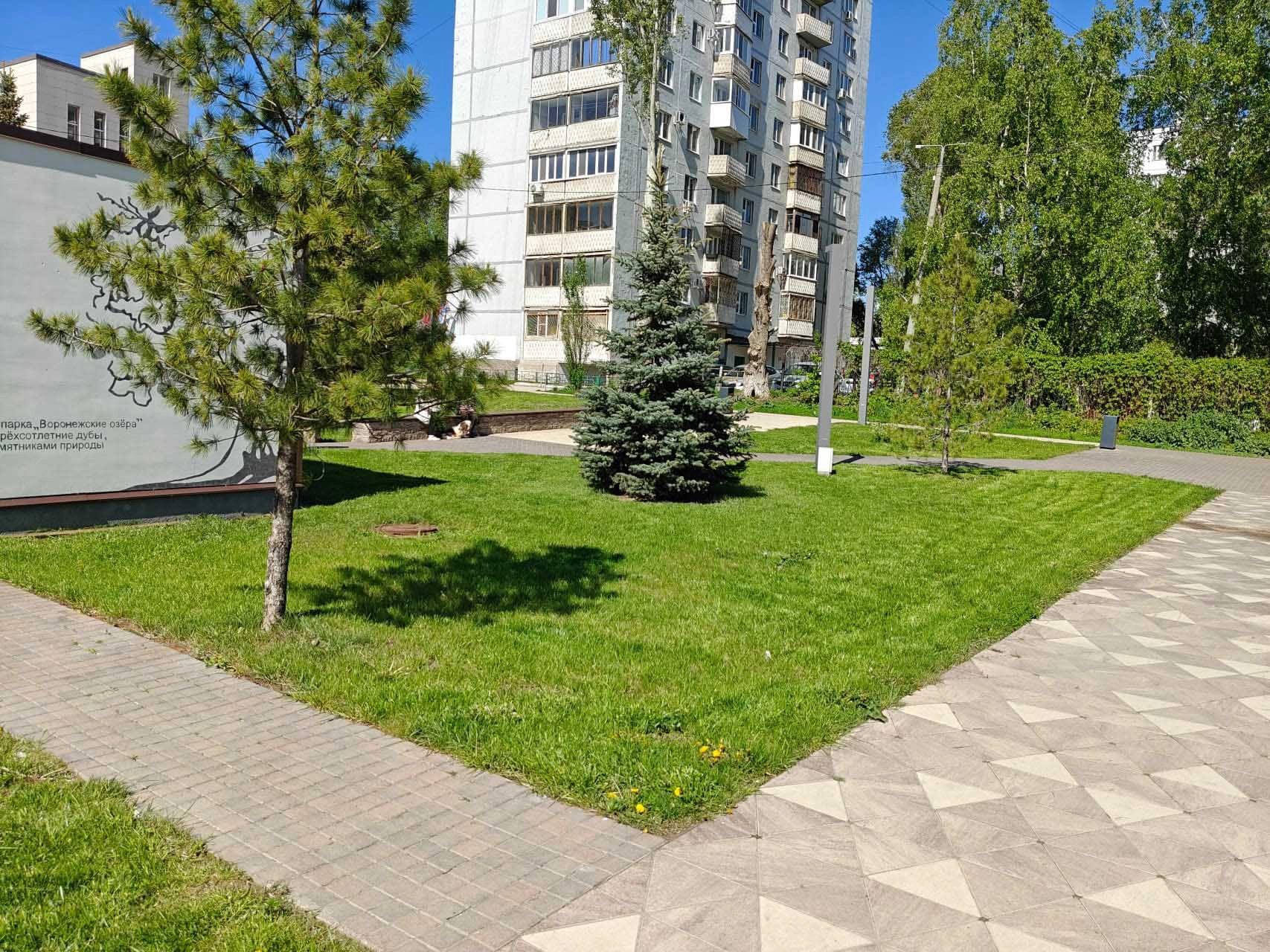 Воронежские озера