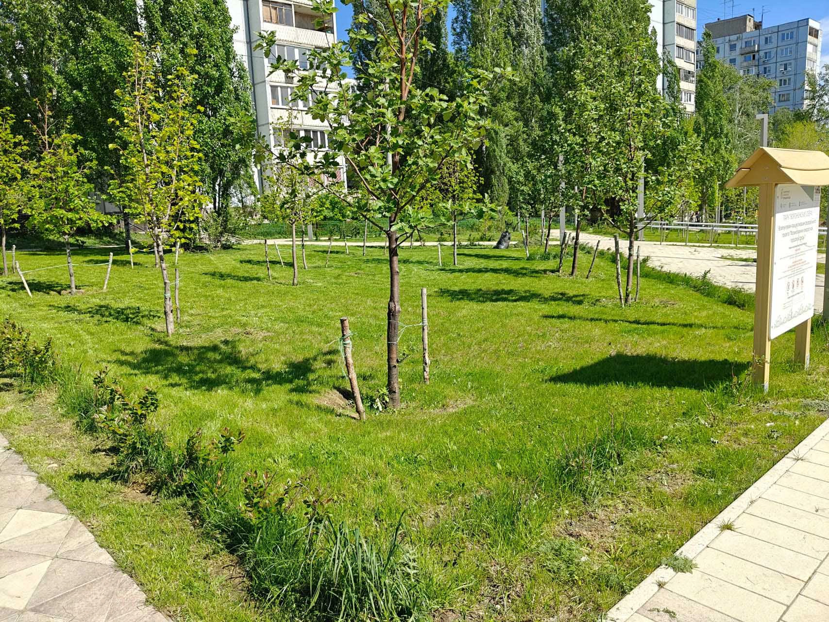 Воронежские озера 2 этап